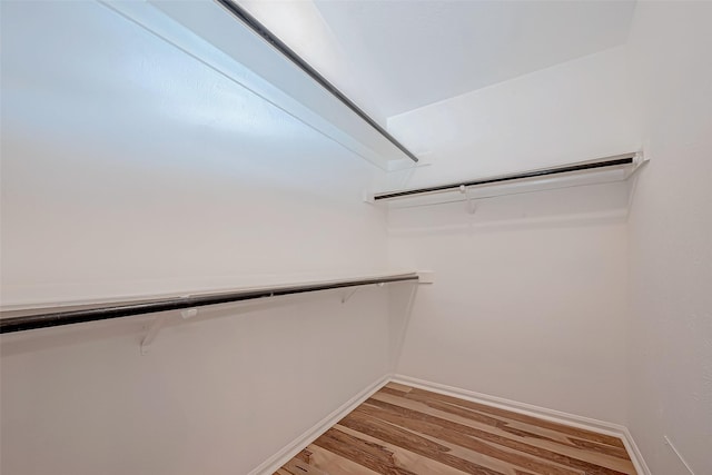 spacious closet featuring light wood-type flooring