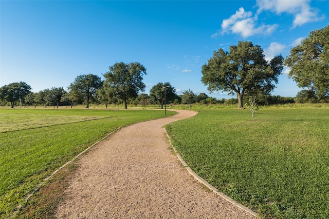 view of community with a yard