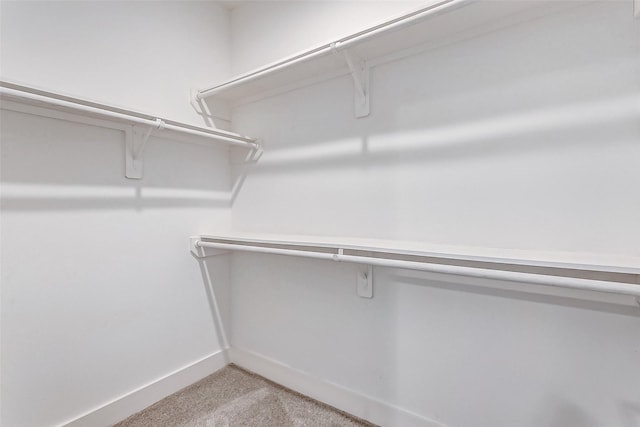 spacious closet with light colored carpet