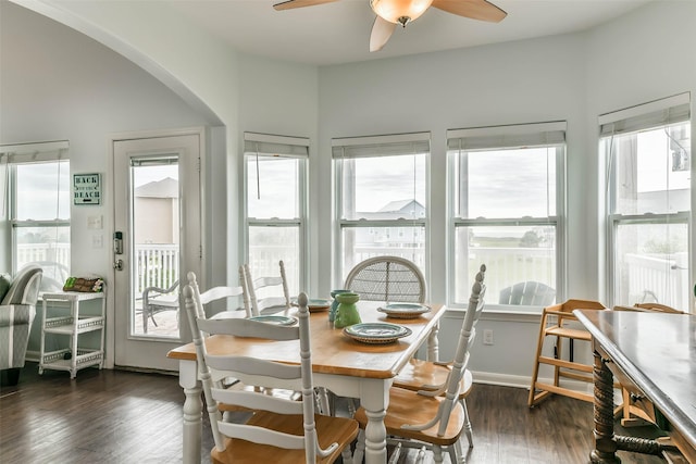 dining space featuring dark hardwood / wood-style flooring, ceiling fan, and a healthy amount of sunlight