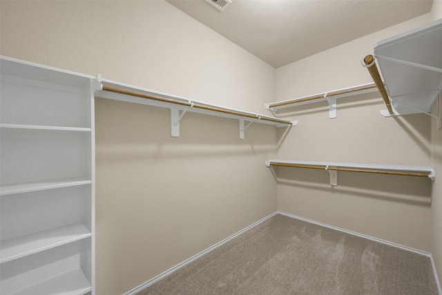 walk in closet with carpet flooring