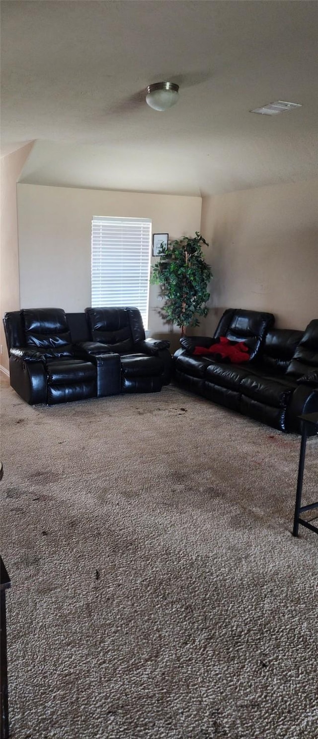 living room featuring carpet flooring