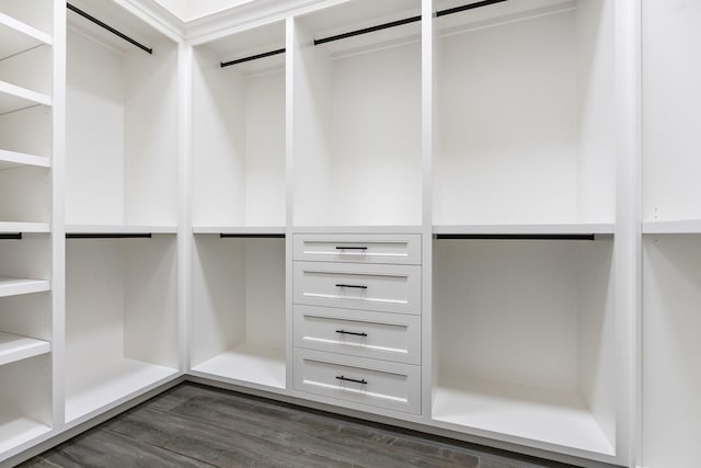 spacious closet with dark wood-type flooring