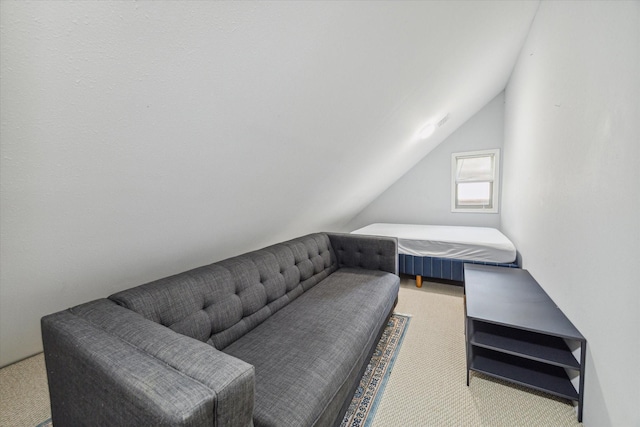 bedroom with vaulted ceiling