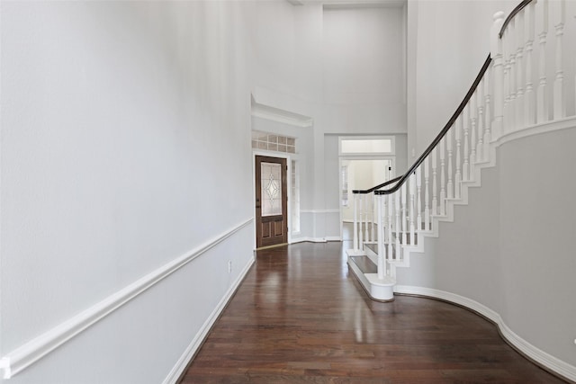 foyer with a high ceiling and dark wood-type flooring