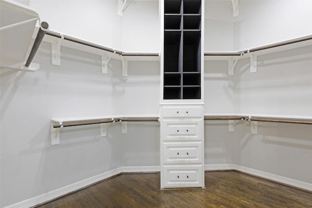 spacious closet featuring dark hardwood / wood-style flooring