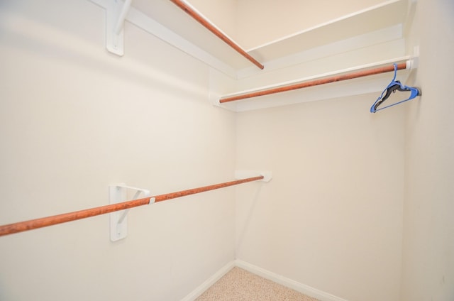 walk in closet featuring carpet floors