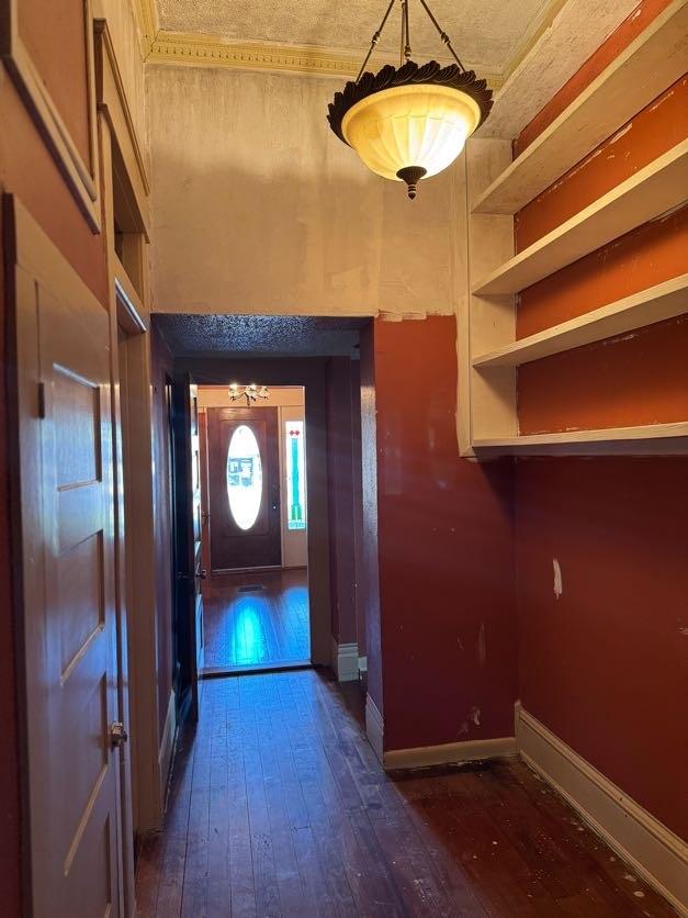 doorway to outside with dark wood-type flooring