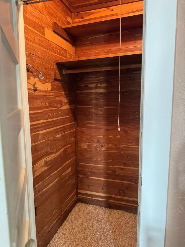 spacious closet featuring carpet floors