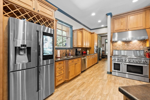 kitchen featuring stainless steel appliances, crown molding, sink, light hardwood / wood-style flooring, and tasteful backsplash