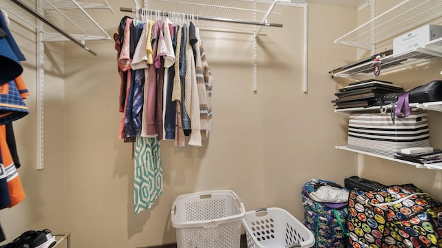 view of spacious closet