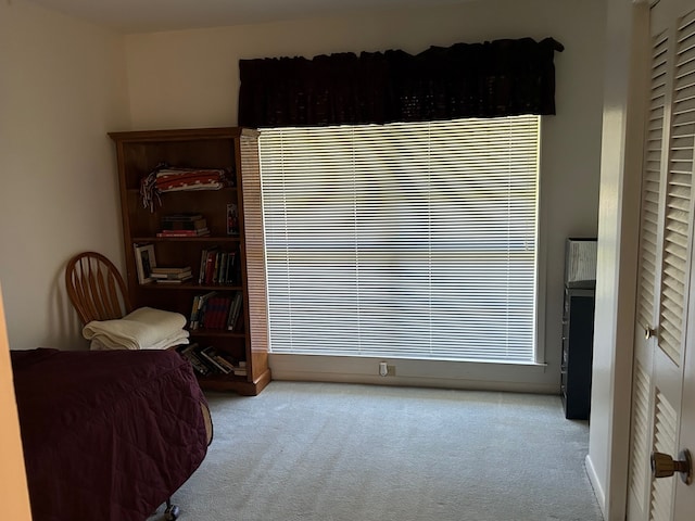 bedroom with light carpet