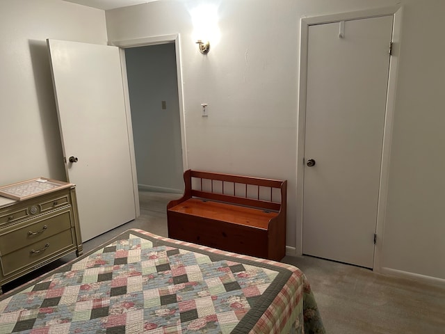 carpeted bedroom featuring a closet