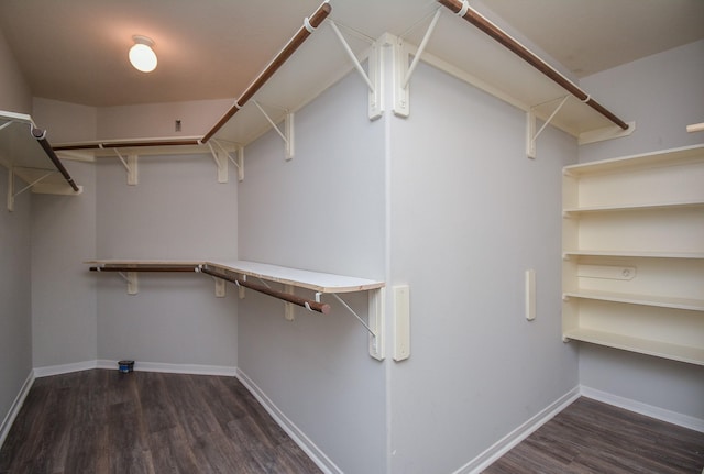 walk in closet featuring dark wood-type flooring