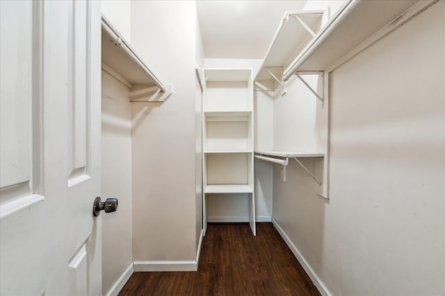 walk in closet featuring dark wood-type flooring