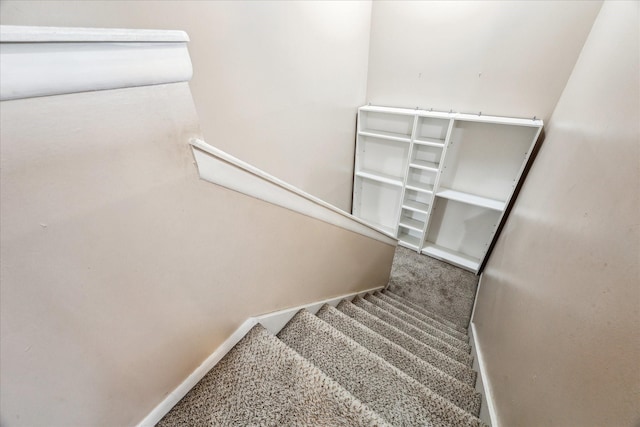 stairs with carpet floors