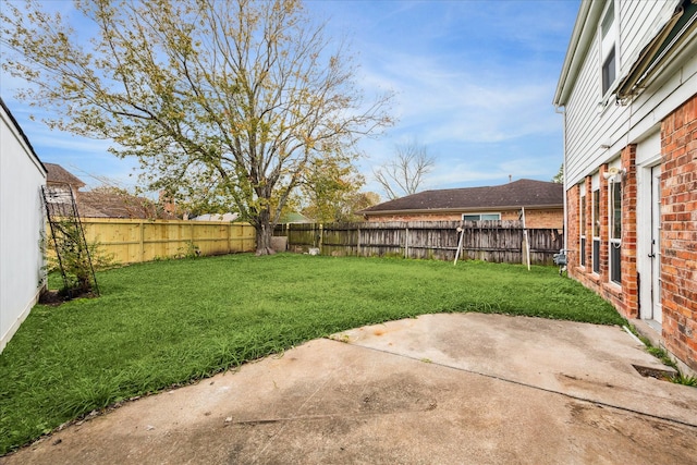 view of yard featuring a patio area