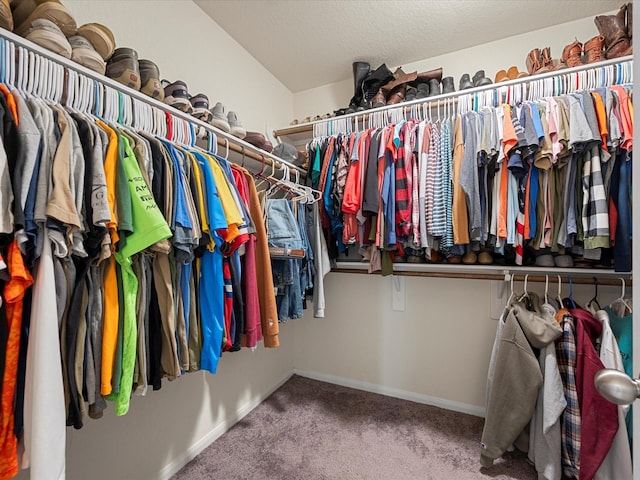 walk in closet featuring carpet