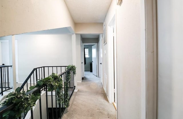 corridor featuring light colored carpet