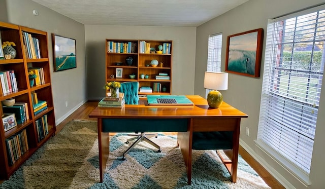 office space with hardwood / wood-style flooring