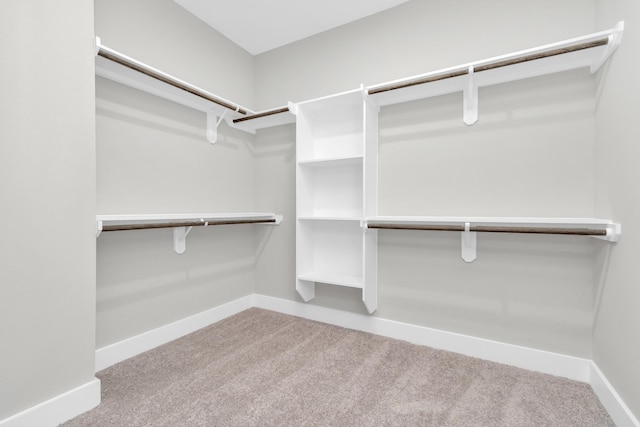 spacious closet with light colored carpet