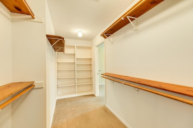 spacious closet featuring light colored carpet