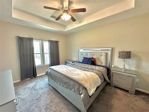 bedroom featuring a raised ceiling, ceiling fan, and carpet flooring