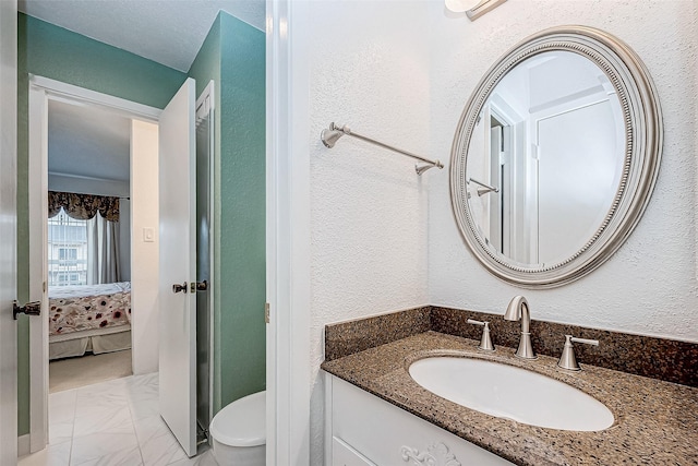 bathroom with toilet and vanity