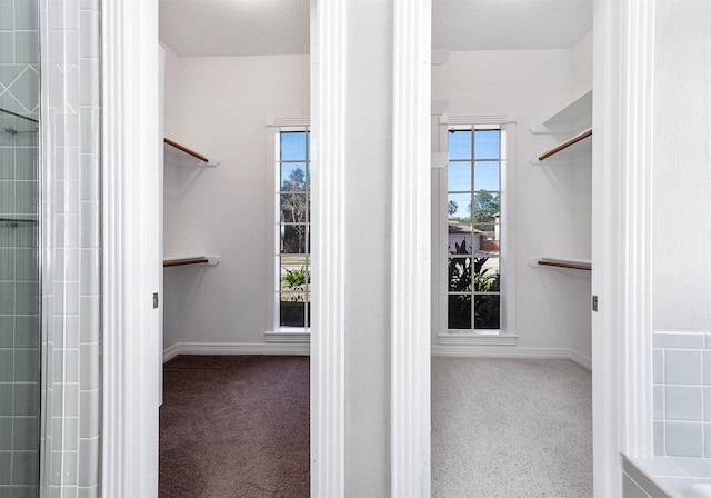 spacious closet featuring light colored carpet