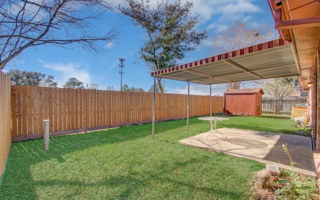 view of yard with a patio and a shed