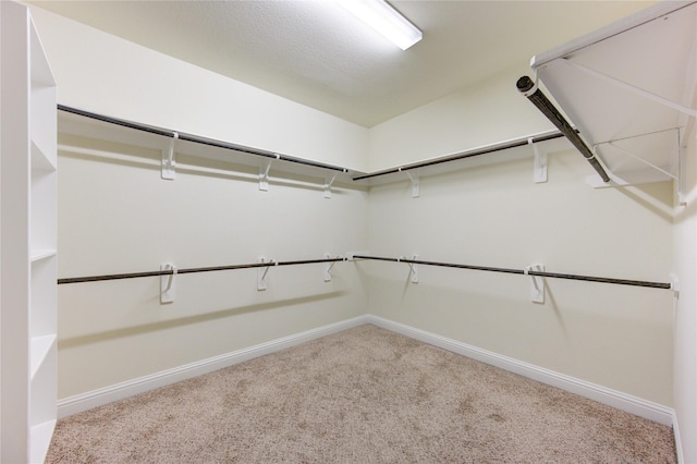 spacious closet with carpet floors