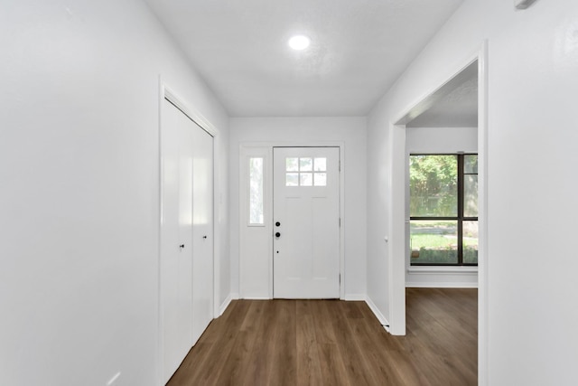 foyer featuring dark wood-type flooring