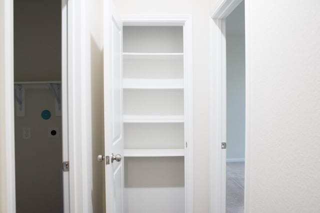 view of closet