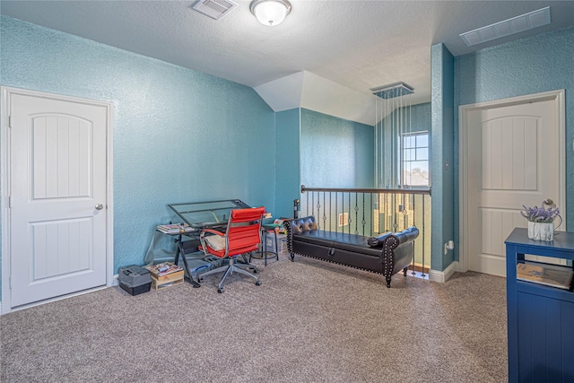 interior space featuring vaulted ceiling and a textured ceiling