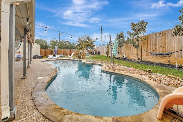 view of pool featuring a patio