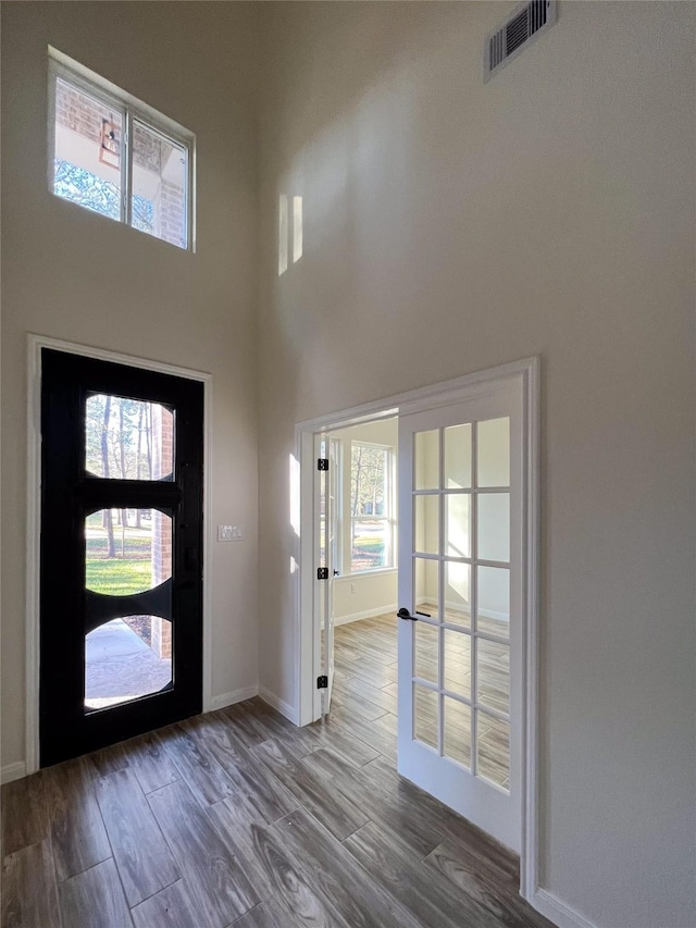 foyer with a towering ceiling and wood-type flooring