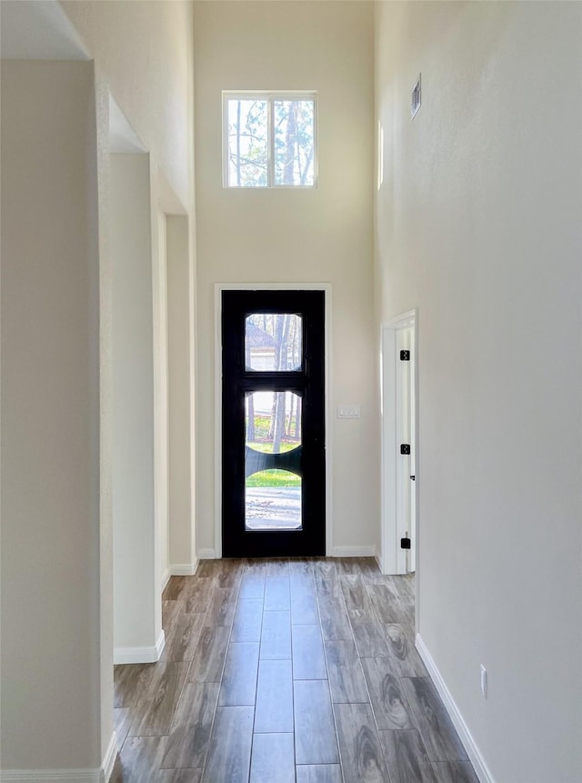 foyer entrance featuring a high ceiling and a wealth of natural light