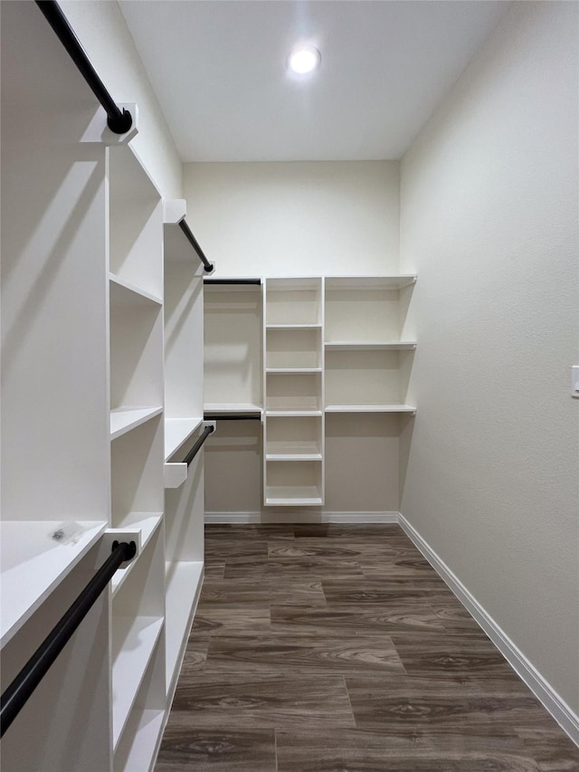 spacious closet with dark hardwood / wood-style floors