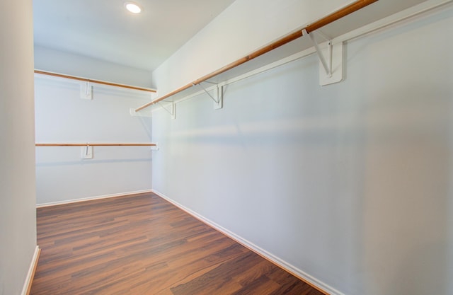 spacious closet featuring dark hardwood / wood-style flooring