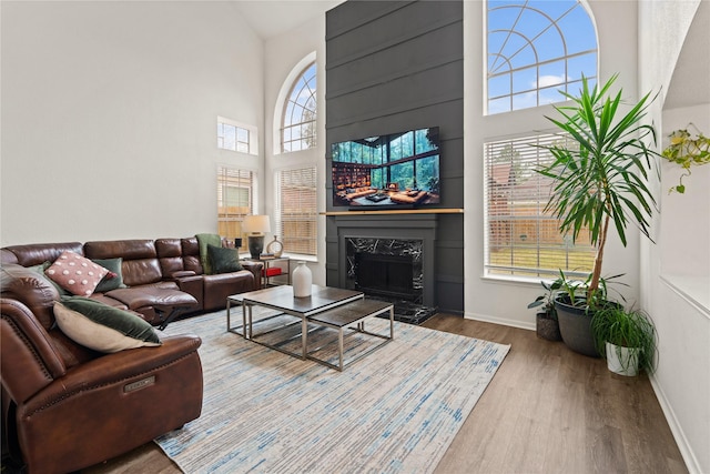 living room with a high ceiling, a fireplace, and hardwood / wood-style flooring