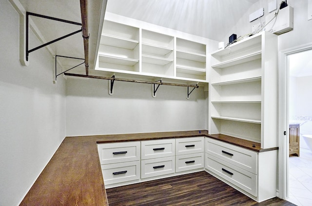 spacious closet featuring dark wood-type flooring