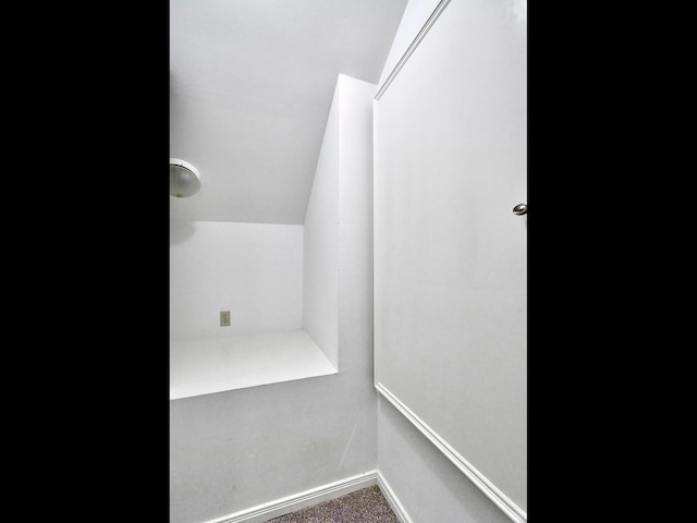 spacious closet with vaulted ceiling and carpet flooring