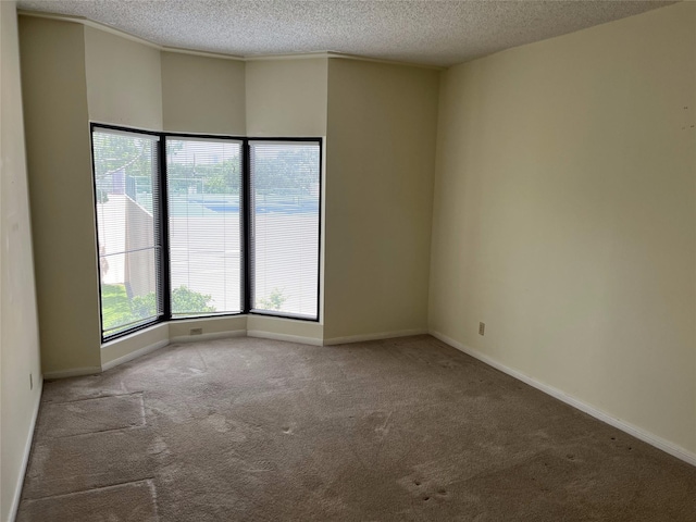 empty room with carpet floors and a textured ceiling