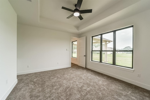 spare room with carpet, ceiling fan, and a tray ceiling