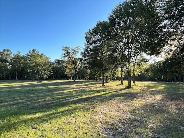 Listing photo 2 for 31322 Strathmore Rd, Waller TX 77484