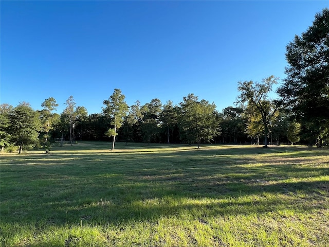 Listing photo 3 for 31322 Strathmore Rd, Waller TX 77484