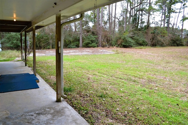 view of yard with a patio