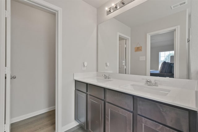 bathroom with wood-type flooring and vanity