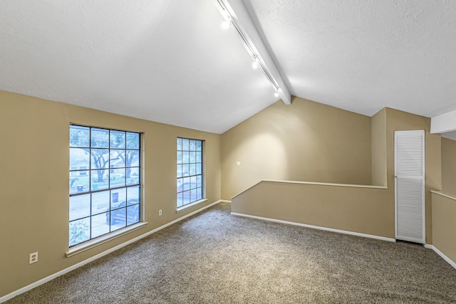 interior space with a textured ceiling, track lighting, lofted ceiling, and carpet