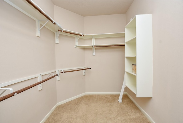 spacious closet featuring light carpet